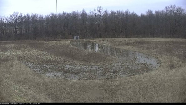 Cell 4_24-03-04_10-21-15-29