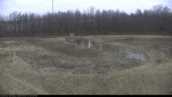 Cell 4_24-03-04_12-32-59-15