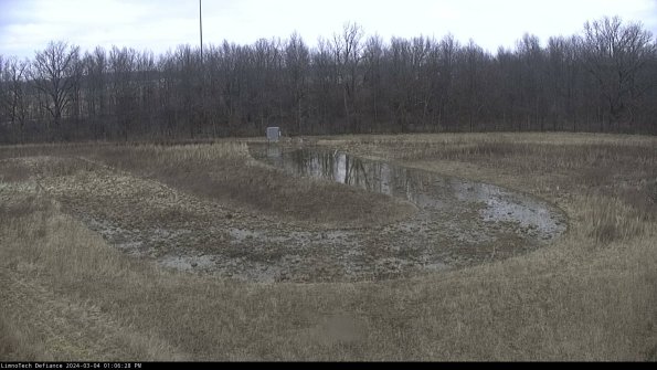 Cell 4_24-03-04_13-06-29-14