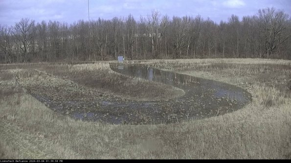 Cell 4_24-03-04_13-39-59-13