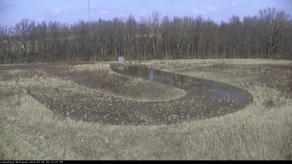 Cell 4_24-03-04_14-13-28-12