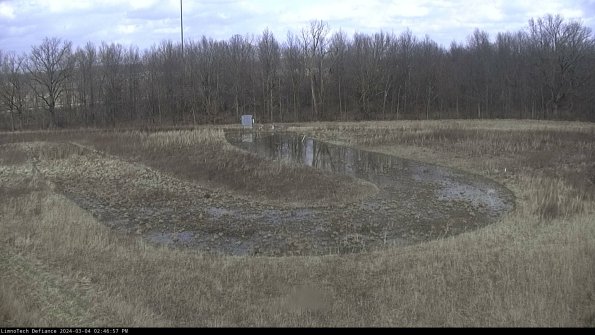 Cell 4_24-03-04_14-46-58-15