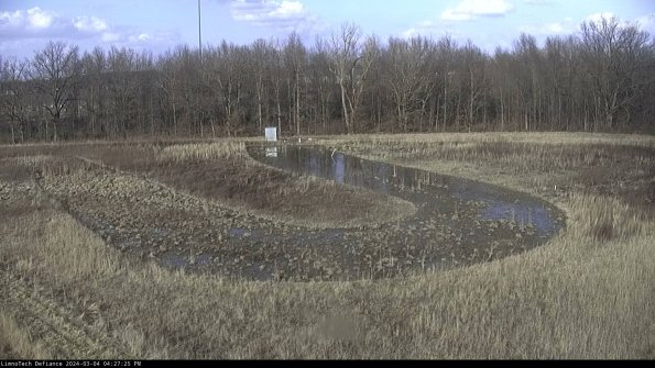 Cell 4_24-03-04_16-27-26-14