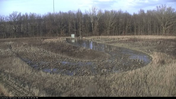 Cell 4_24-03-04_17-34-25-11