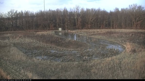 Cell 4_24-03-04_18-07-54-14