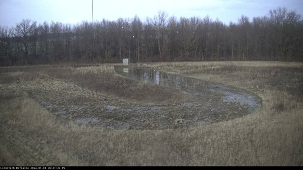 Cell 4_24-03-04_18-41-23-13