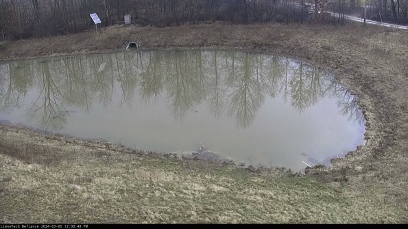 Basin Right_24-03-05_12-00-49-12