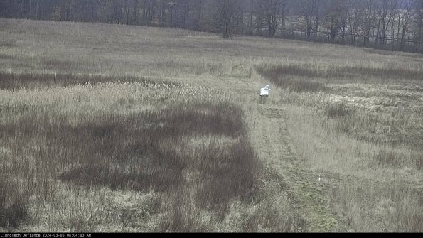 Cell 1 to 2_24-03-05_08-04-04-12