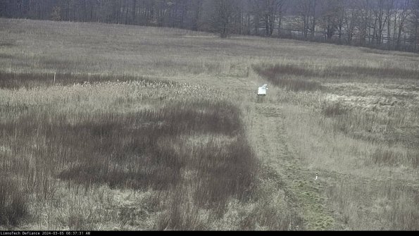 Cell 1 to 2_24-03-05_08-37-32-13