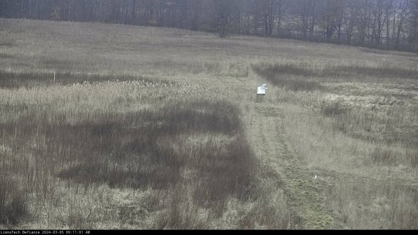 Cell 1 to 2_24-03-05_09-11-02-15