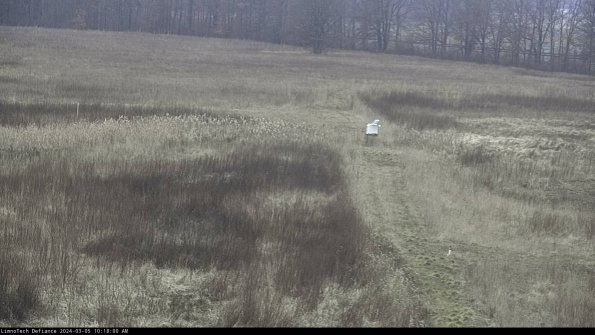 Cell 1 to 2_24-03-05_10-18-01-12