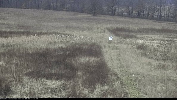 Cell 1 to 2_24-03-05_10-51-31-11