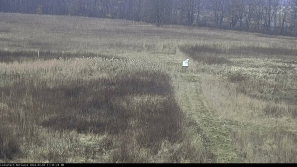 Cell 1 to 2_24-03-05_11-58-29-14