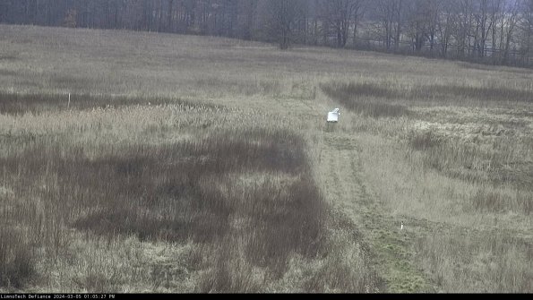 Cell 1 to 2_24-03-05_13-05-28-12