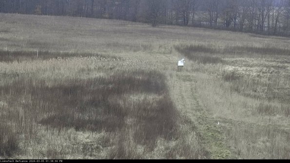 Cell 1 to 2_24-03-05_13-38-57-14