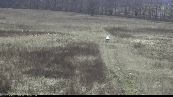 Cell 1 to 2_24-03-05_14-45-55-11