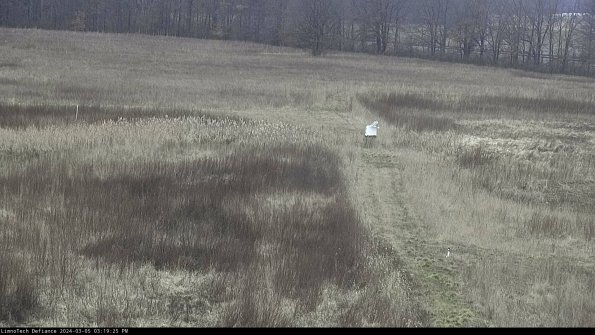 Cell 1 to 2_24-03-05_15-19-26-13