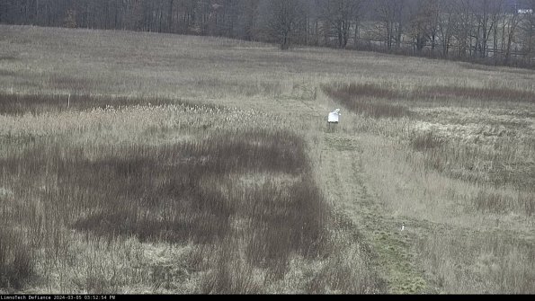 Cell 1 to 2_24-03-05_15-52-55-12