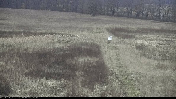 Cell 1 to 2_24-03-05_16-26-25-14