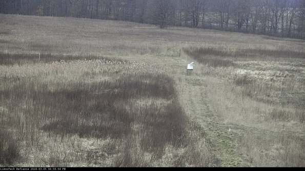 Cell 1 to 2_24-03-05_16-59-55-12