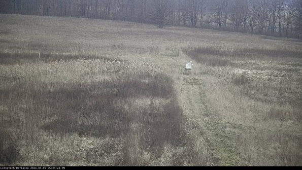 Cell 1 to 2_24-03-05_17-33-25-11