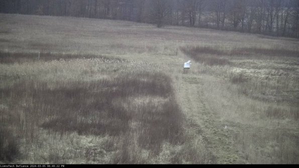 Cell 1 to 2_24-03-05_18-40-23-15