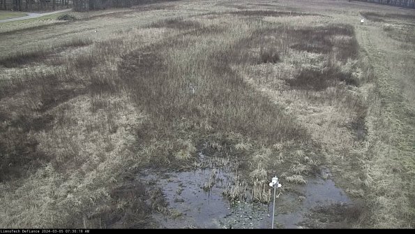 Cell 1_24-03-05_07-30-20-12