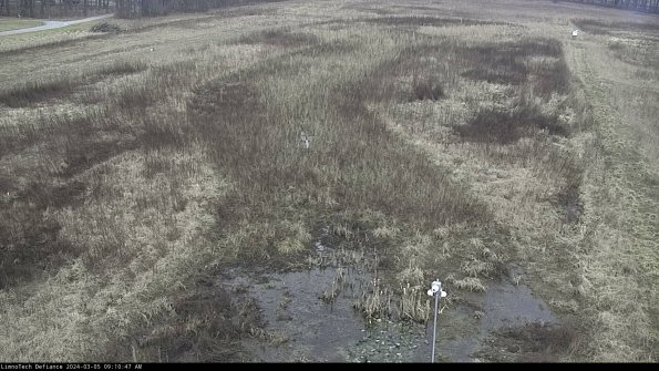 Cell 1_24-03-05_09-10-48-14