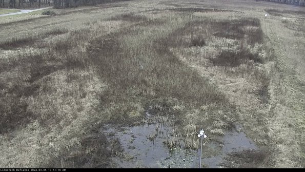 Cell 1_24-03-05_10-51-17-13