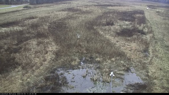 Cell 1_24-03-05_11-24-46-11