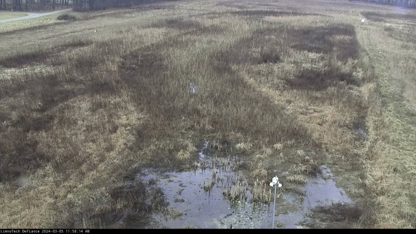 Cell 1_24-03-05_11-58-15-13