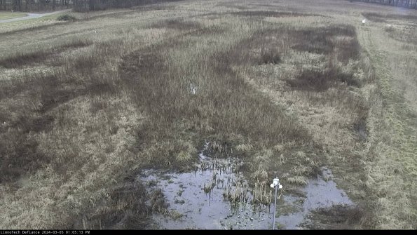 Cell 1_24-03-05_13-05-14-14