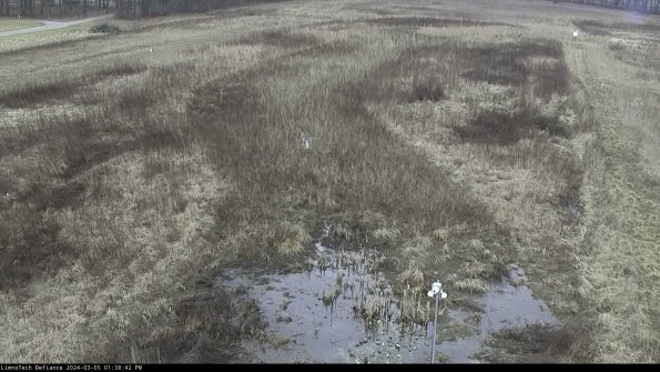 Cell 1_24-03-05_13-38-43-16