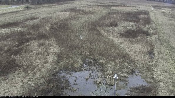 Cell 1_24-03-05_14-12-12-11