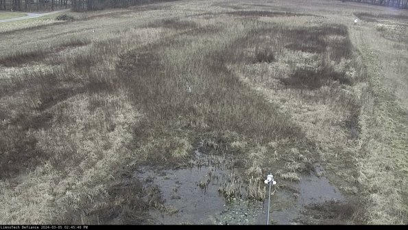 Cell 1_24-03-05_14-45-41-13