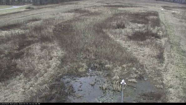 Cell 1_24-03-05_15-52-41-10