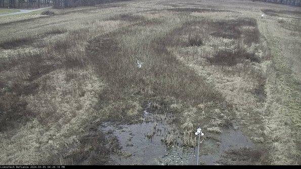 Cell 1_24-03-05_16-26-11-12