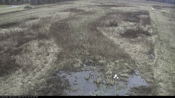 Cell 1_24-03-05_16-59-41-14