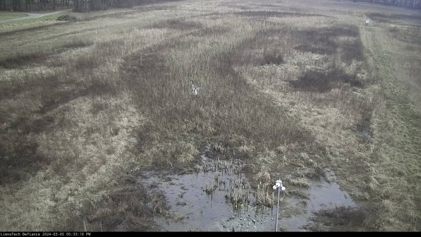 Cell 1_24-03-05_17-33-11-13