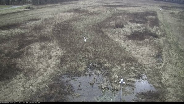 Cell 1_24-03-05_18-06-39-15