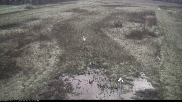 Cell 1_24-03-05_18-40-09-17