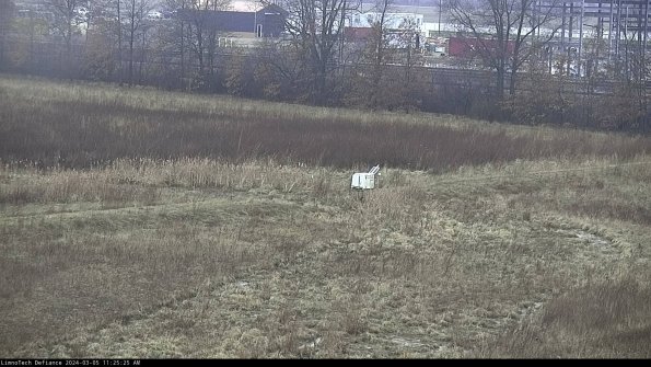 Cell 2 to 3_24-03-05_11-25-26-35