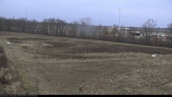 Cell 2_24-03-05_07-30-47-18