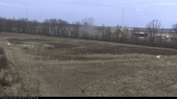 Cell 2_24-03-05_08-04-17-16