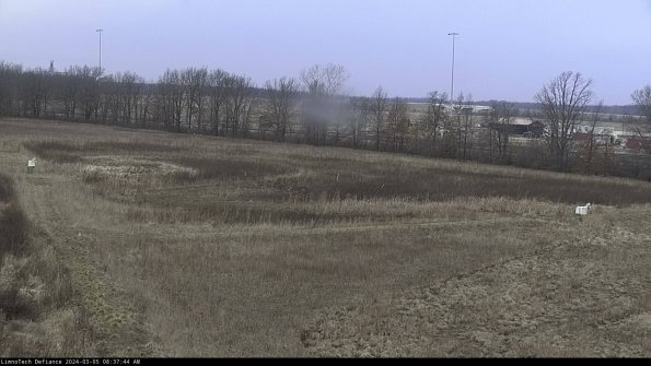 Cell 2_24-03-05_08-37-45-15