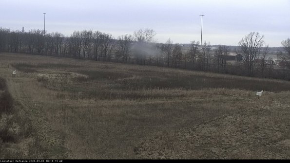 Cell 2_24-03-05_10-18-14-17