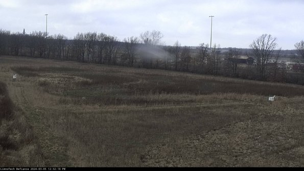 Cell 2_24-03-05_12-32-11-18