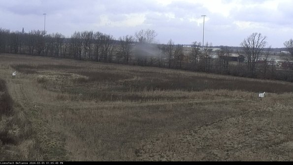 Cell 2_24-03-05_13-05-41-13