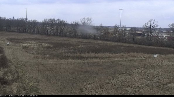 Cell 2_24-03-05_13-39-10-15