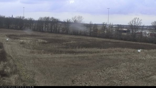 Cell 2_24-03-05_14-12-39-17